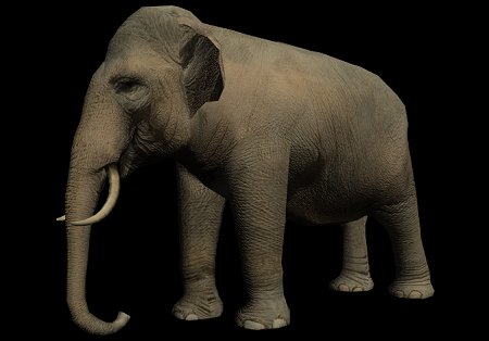 elephant.jpg (20779 Byte)